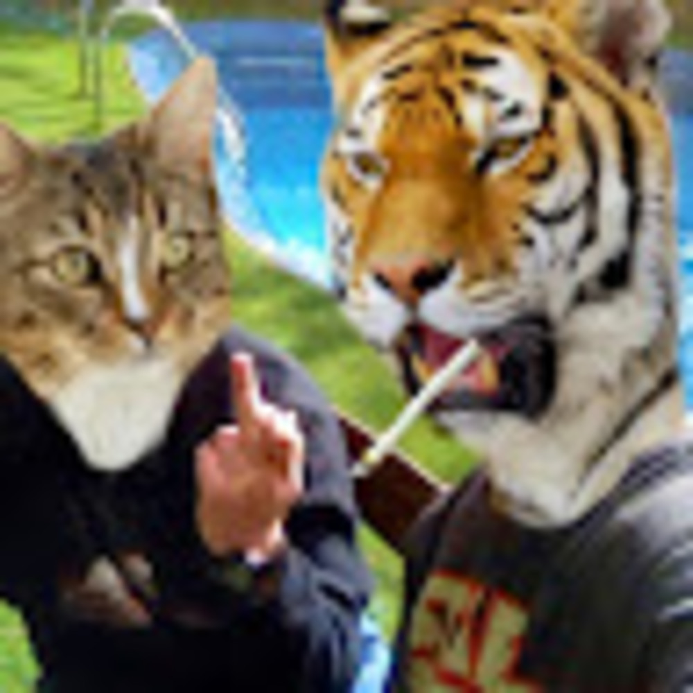 Meet your Posher, Dean